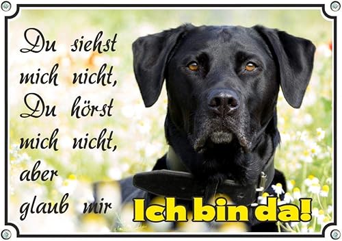 EIN edles Hundeschild mit einem schwarzen Labrador Retriever - TOP Warnschild uv-beständig, DIN A4 - Cheap-Us