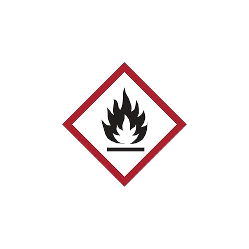 ROTHENBERGER Industrial Sturmfeuerzeug | Universalbrenner | Lötbrenner | wiederbefüllbar | Regulierbare und windsichere Flamme inkl. 1 x Nachfüllgas 100 ml ***Farbe Nicht wählbar*** - Cheap-Us