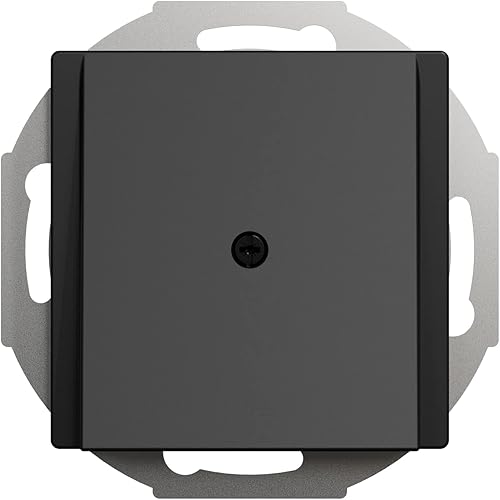 Schneider Electric Merten 296319 Zentralplatte Leitungsauslass, polarweiß glänzend, System M - Cheap-Us