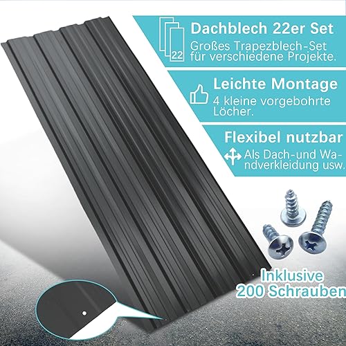 Thanaddo 22er Set Profilblech Trapezblech mit Schraube Blech Metall Dachblech Dach Platten Stahlblechdachplatten 10.12m², Legierter Stahl - Cheap-Us
