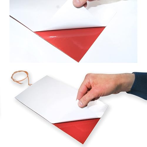 GOLDMAN SERVICE Heizelement aus Silikon, flexibel, flexibel, ultradünn, mit Temperaturbegrenzer, 1000 W, 220 V, L 290 x 400 mm (1000 W) - Cheap-Us