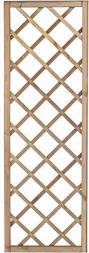 Rankgitter Soprano Kiefernholz Forest Hellbraun Rechteckig 60x180cm - Cheap-Us