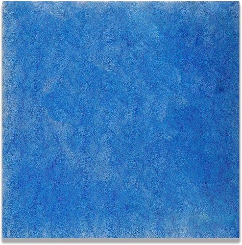 10 Filter für Limodor Compact Limot Ventilatoren, Filter 238 x 238 mm, Filterklasse G4 ca. 18-mm-Lüfter Serie 00070 Badezimmerventilator Staubfilter für Lüftungssystem Filtermatten für Limo-Lüfter - Cheap-Us