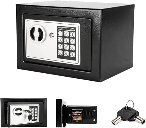 LEADZM Elektronik Tresor 23 x 17 x 17 cm Elektronischer Safe mit Zahlenschloss und 2 Notschlüssel Wandtresor Mini Stahlsafe Wandsafe 4.8L, Schwarz - Cheap-Us