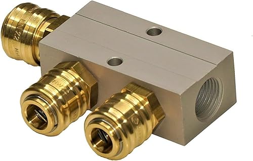 Druckluftverteiler Aluminiumverteiler Alu-Verteiler Druckluftkupplung Pneumatik (mit 2 Kupplung einseitig) - Cheap-Us