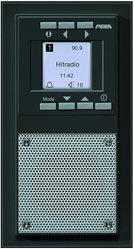 Honeywell Home Peha D 20.485.64 Radio Unterputz-Radio im Aura-Design, anthrazit - Cheap-Us