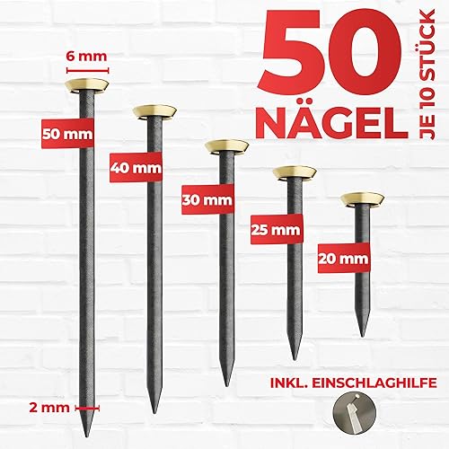 RIKAMA® – 50 Bildernägel im Mix aus je 10 x 20mm, 25mm, 30mm, 40mm, 50mm – Stahlnägel für den Einsatz auf Beton, Ziegelstein, Putz & Holz – Made in Europe (Gold mit Halter) - Cheap-Us