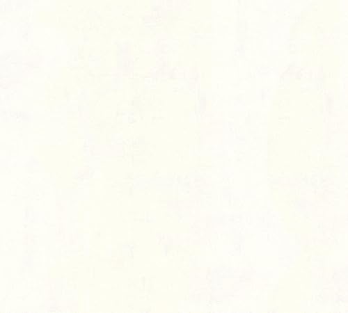 Livingwalls Vliestapete 10,05 m x 0,53 m in moderner Betonoptik - Grau - Motivtapete im Industrial Design Made in Germany - 224033 - Cheap-Us