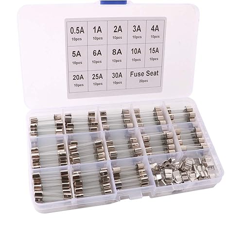 QitinDasen 130Pcs Professionell 6 X 30mm Auto Glasrohrsicherungen, Schnelle Schlag Glassicherung, Fast Schlag Glas Sicherungen, mit 20Pcs Sicherungssitz - Cheap-Us