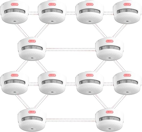 X-Sense Funkvernetzbarer Rauchmelder XS01-WR, vernetzter Rauchwarnmelder mit 250 Meter Reichweite, Feuermelder mit austauschbarer Batterie, 6er Set - Cheap-Us