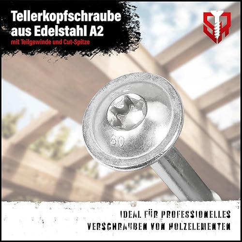 SCREW REBEL Tellerkopfschrauben 5,0 x 30 Edelstahl gehärtet, 200 Stück mit ETA Zulassung, TX25, martensitisch, Teilgewinde - Cheap-Us