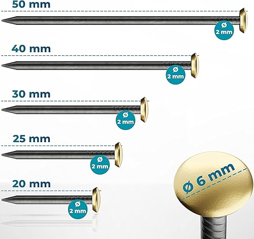 FIXXIA 50 Stahlnägel mit goldfarbenen Kopf gemischte Längen 20/25/30/40/50mm, Bildernägel, Nägel zum Bilder aufhängen, Bildaufhänger, Betonnägel, Aufhänger für Bilder (mit Einschlaghilfe) - Cheap-Us