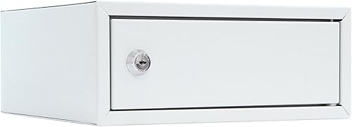 Rottner Wertfach Home Case 1, Zylinderschloss mit 2 Schlüssel, Lichtgrau, BxH 250x100 mm - Cheap-Us