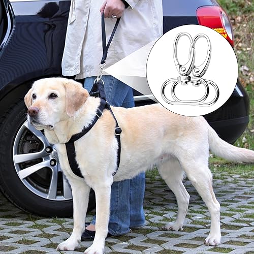 Pyroclasia Schlüsselanhänger D-Ringen,Schwenkverschluss Schlüsselanhänger Set 360° Drehbar Karabinerhaken Für Lanyard Handwerk - Cheap-Us