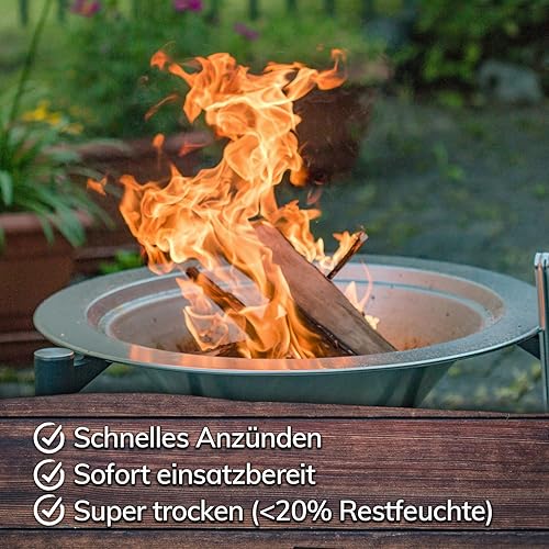 Landree Anfeuerholz, Anzündholz 18 kg (6 Netze a 3 kg) ca 20cm Scheitlänge, Nadelholz, trockenes und sofort einsetzbares Brennholz für Kamin und Ofen, Qualität aus Schleswig Holstein - Cheap-Us