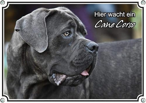 Petsigns Hundeschild Cane Corso - wunderschönes Warnschild - uv-beständig - Italien. Dogge, DIN A4 - Cheap-Us