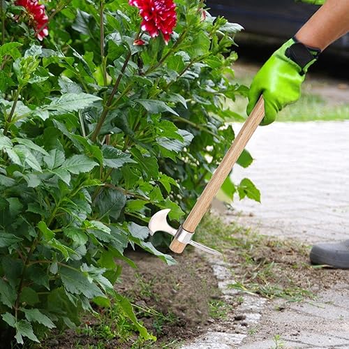 Honhoha Spitzhacke zum Graben, Spitzhacke | Effiziente 2- in-1-Mattock und Spitzhacke-Kombination Multifunktionale Handhacke aus Edelstahl, kleine Spitzhacke mit Griff für Gärtner, Wurzeln schneiden - Cheap-Us