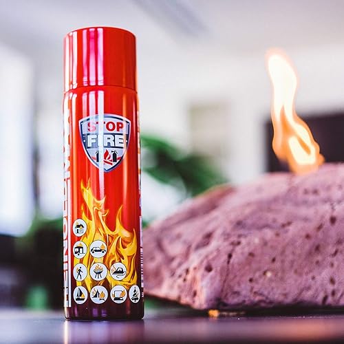 Höfer Chemie 1 x 500g Feuerlösch - Spray Brände der Klasse A, B, E, F - Cheap-Us