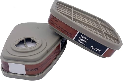 RANKSING 6001 Organische Dampffilterkartuschen schützen vor Staubgasen, Dämpfen, Asbesten, organischen Dämpfen, Chemikalien beim Lackieren, Sprühen, Schleifen, Schweißen, Bauarbeiten und Arbeiten PSA - Cheap-Us