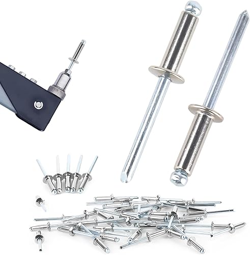 Delsen 100 Stück Blindnieten 4,8 mm x 16 mm Pop-Nieten Sortiment Popnieten Set Kuppelkopfnieten für Bau, Automobil,Blindnietzangen - Cheap-Us