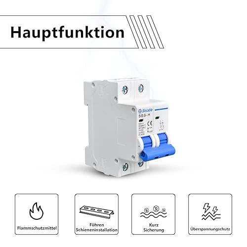Trisinger DC Leitungsschutzschalter 2 Pole 500V 63A Sicherungsautomat, DIN-Schienenmontage (63A) - Cheap-Us