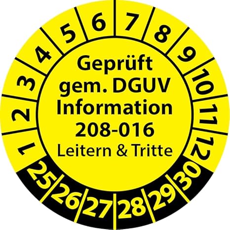 Prüfplakette Geprüft gemäß DGUV Information 208-016 Leitern und Tritte, Prüfaufkleber, Prüfetikett, Plakette (30 mm Ø, Blau, 100) - Cheap-Us