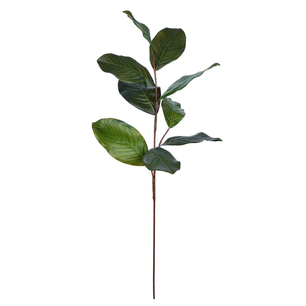 Vickerman 30