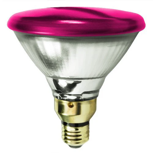 Bulbrite H90PAR38P 90 Watt Dimmable Colored Light Halogen PAR38, Medium Base, Pink - Cheap-Us