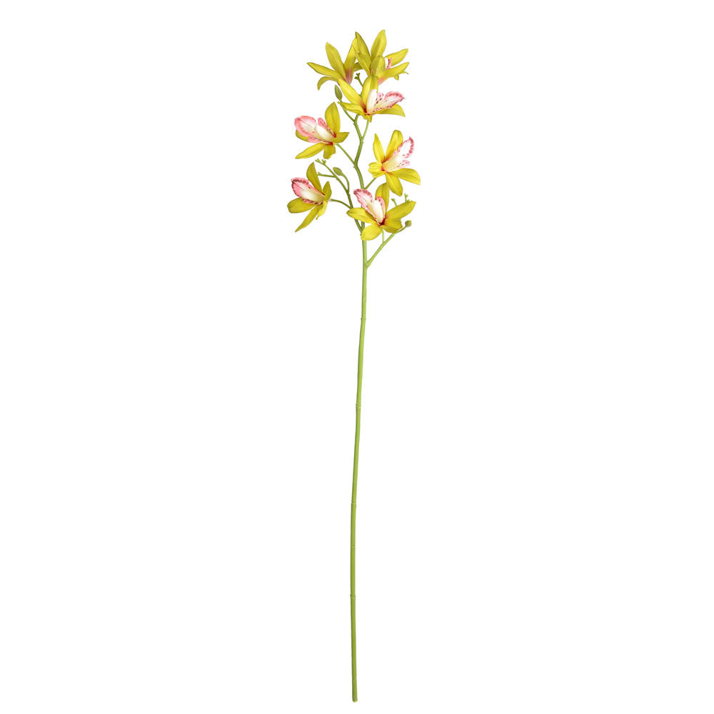 Vickerman 32