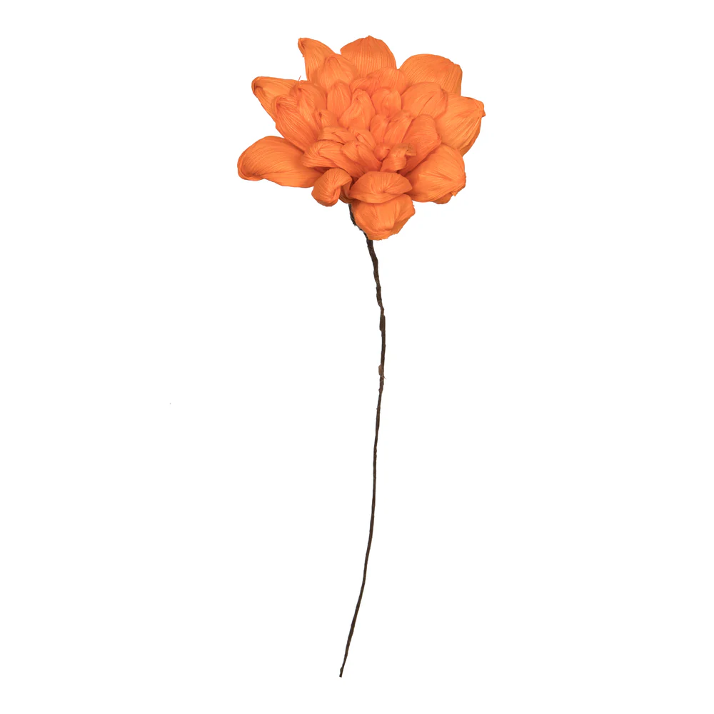 Vickerman Natural Botanicals 6