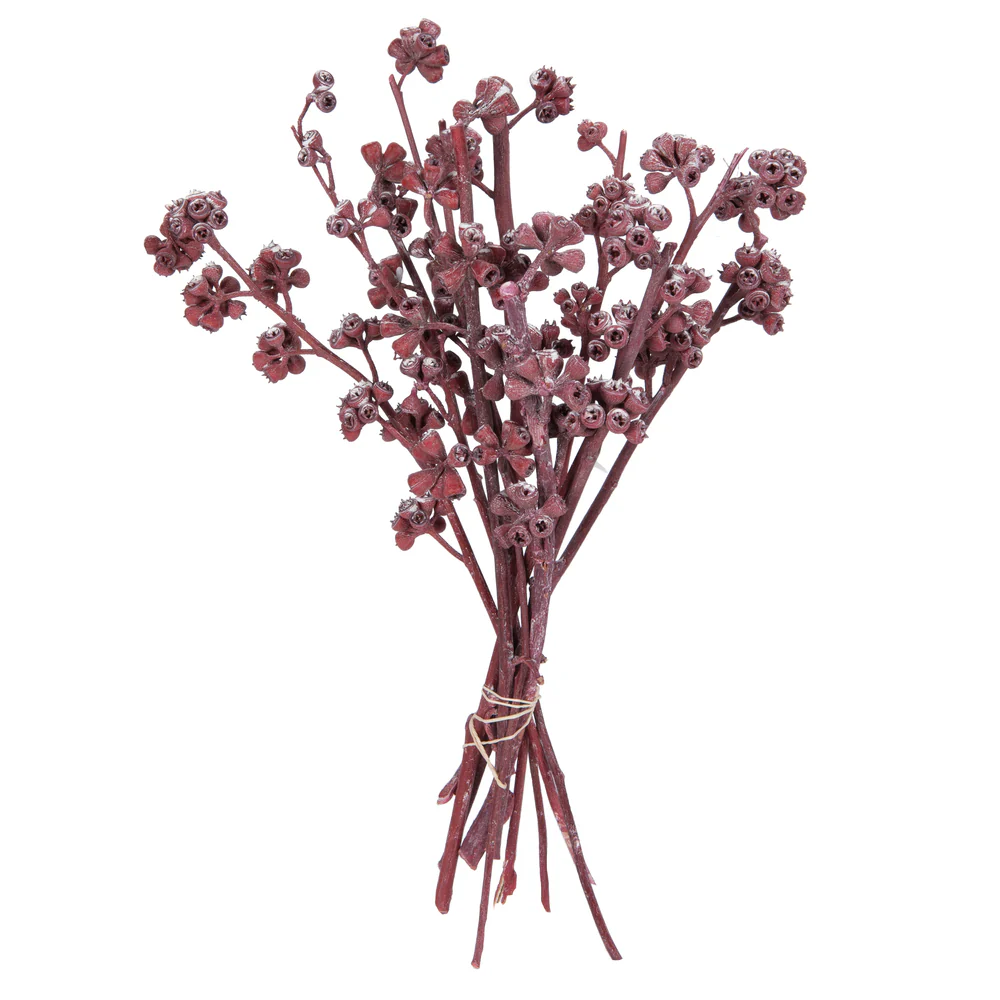Vickerman Natural Botanicals 13