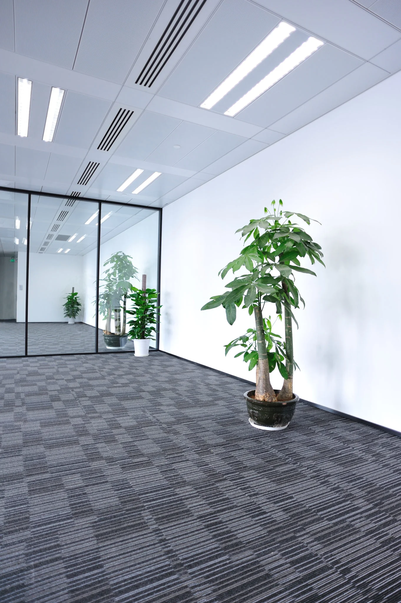 4 ft. T8 Color Selectable Plug & Play LED - Cheap-Us