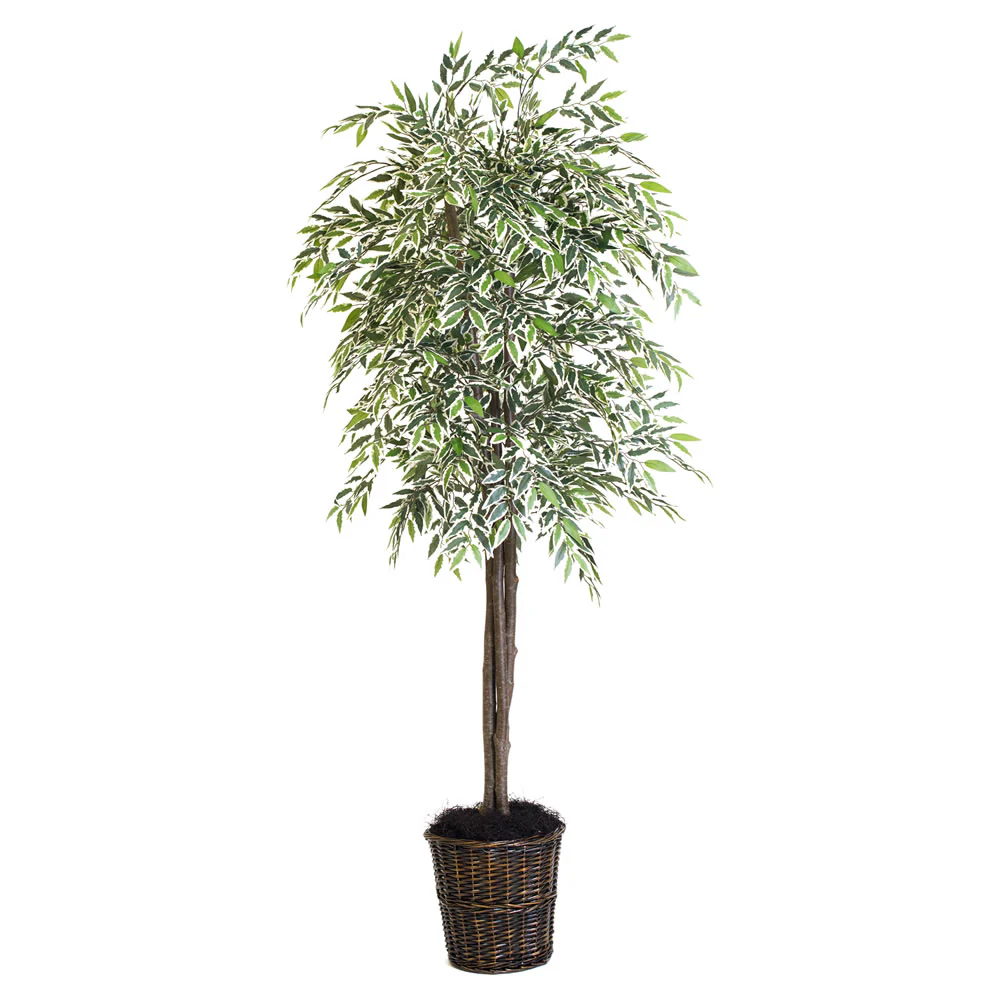 Vickerman 6' Artificial Varigated Smilax Deluxe Black Plastic Pot - Cheap-Us