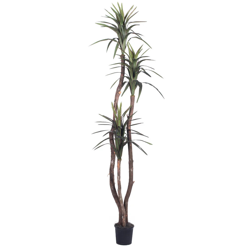 Vickerman 6.5' Artificial Marginata Deluxe Black Plastic Pot - Cheap-Us