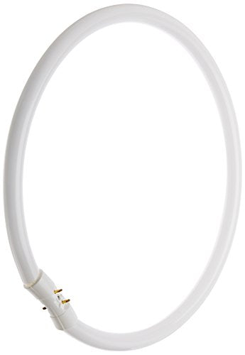 Bulbrite FC12T5/835 12 Watt Fluorescent Circline T5 Bulb, 800 Series, 2GX13 Base, Neutral White - Cheap-Us