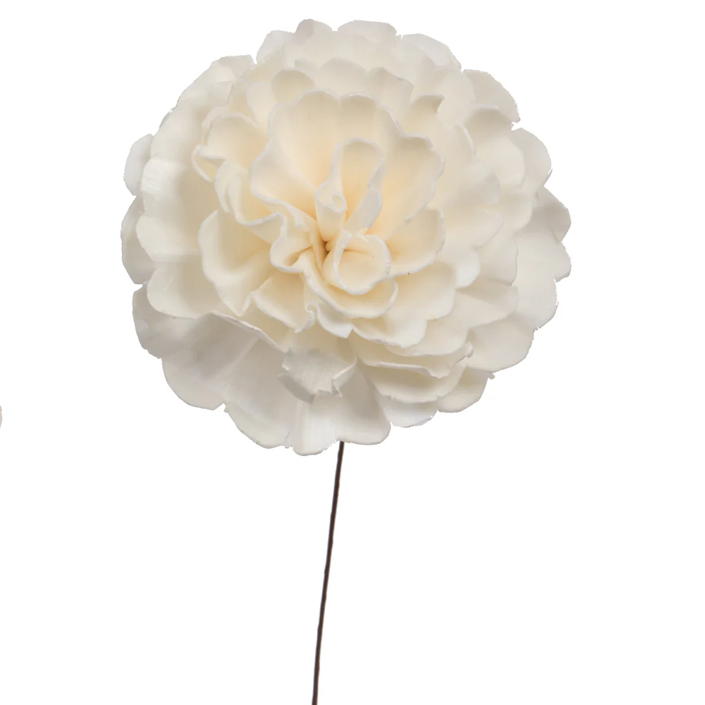 Vickerman Natural Botanicals 4