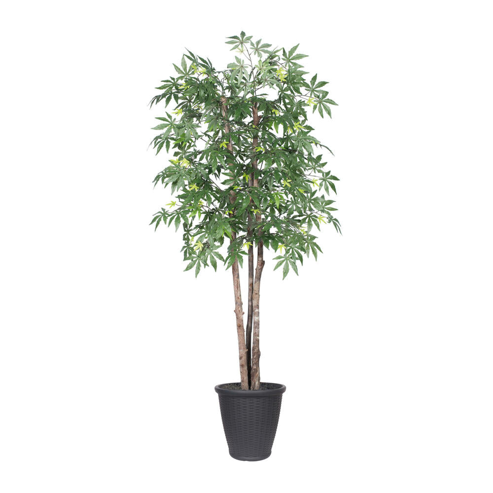 Vickerman 6' Artificial Japanese Maple Deluxe Tree Gray Round Plastic Container. - Cheap-Us