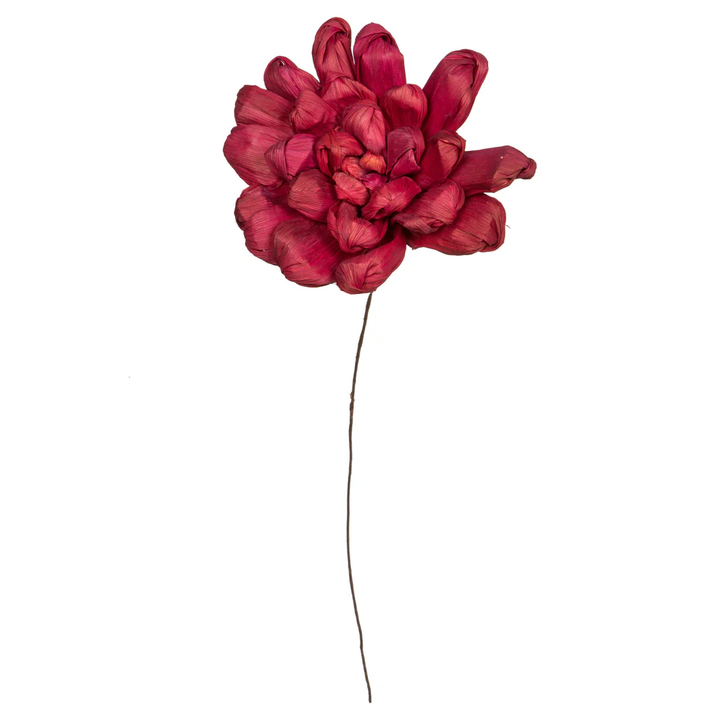 Vickerman Natural Botanicals 6