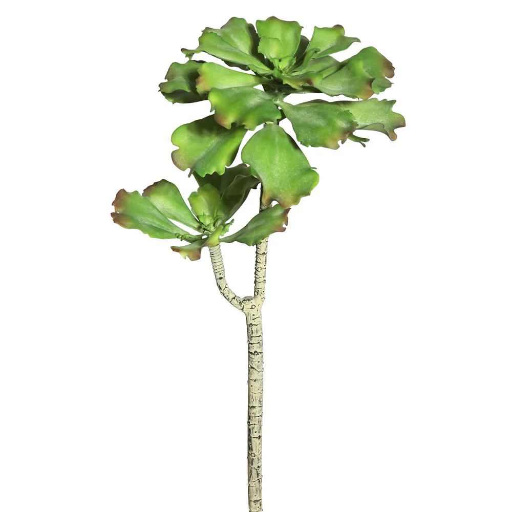 Vickerman 20