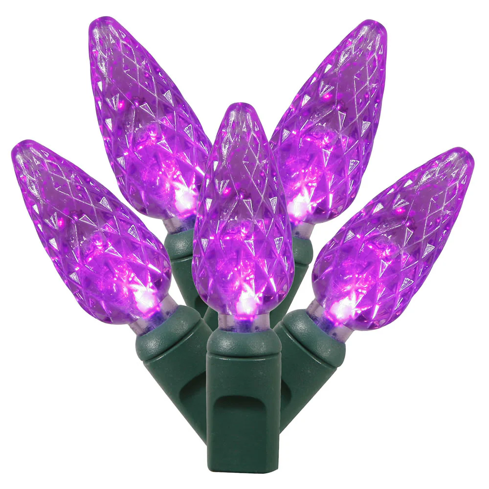 Vickerman 200 Purple C6 LED Light on Green Wire 100' Christmas Single Mold Light Strand - Cheap-Us