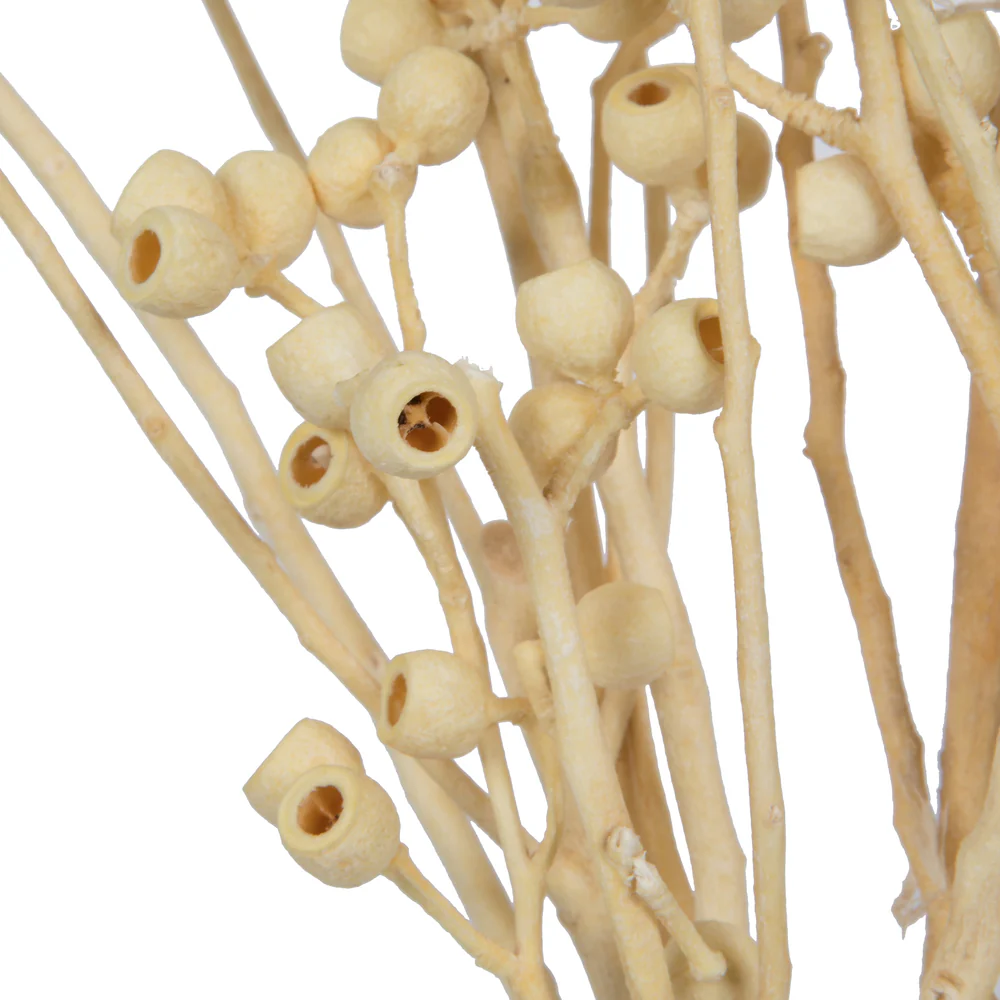 Vickerman Natural Botanicals 14