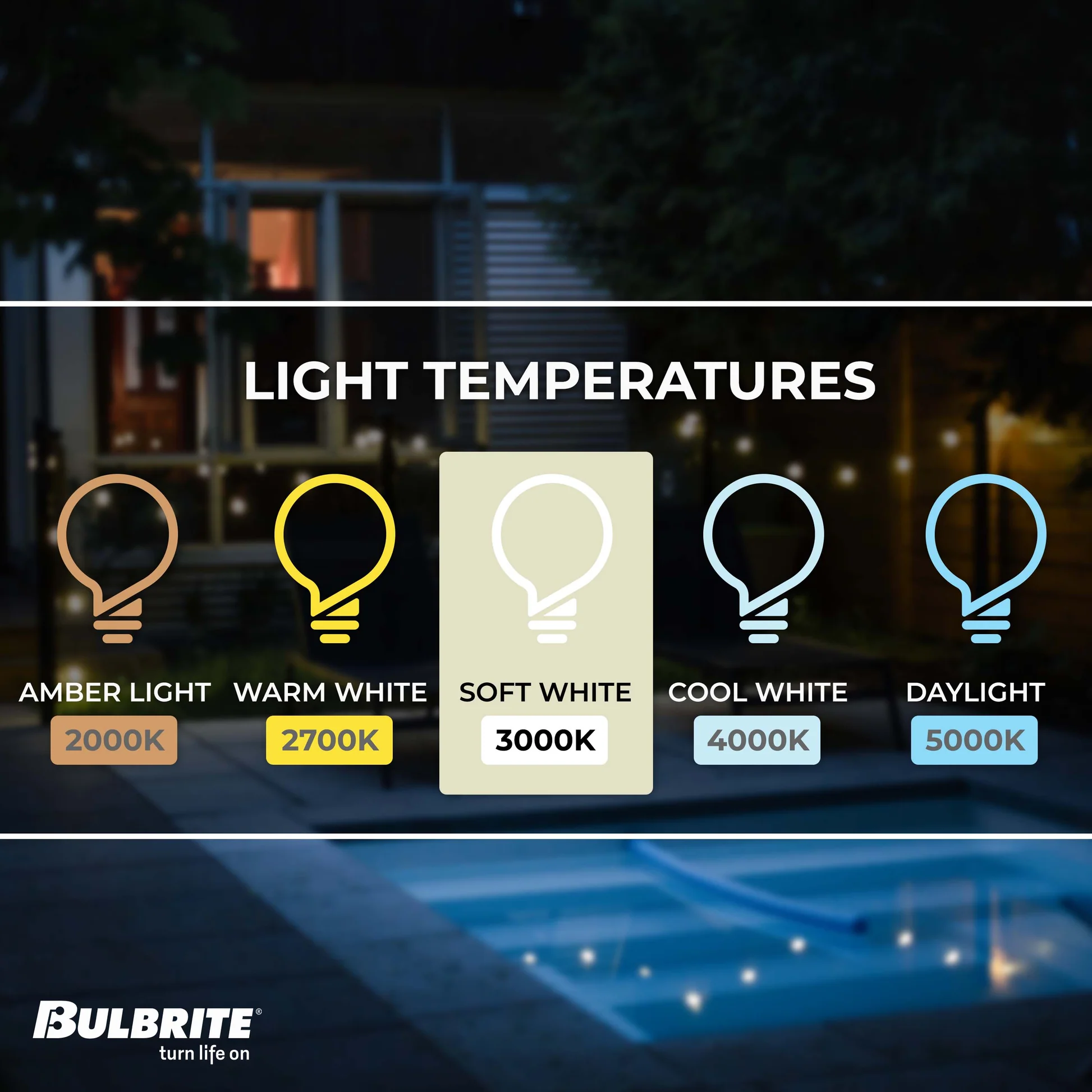 Bulbrite Pack of (8) 7 Watt Dimmable Clear ST18 LED Light Bulbs with Medium (E26) Base, 3000K Soft White Light, 800 Lumens - Cheap-Us