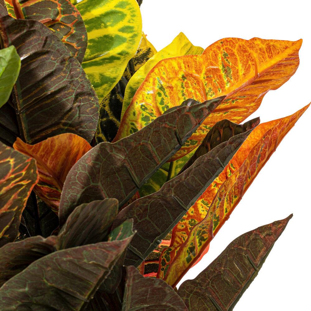 Vickerman 30