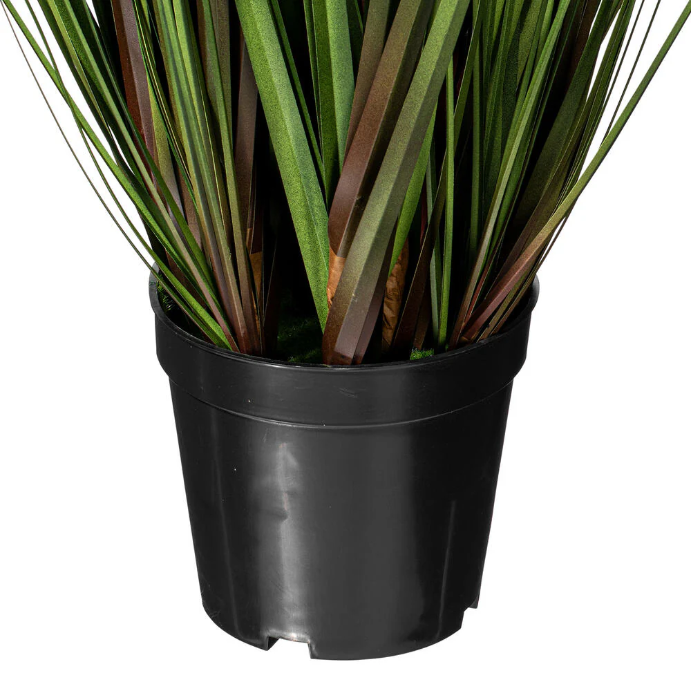 Vickerman 36