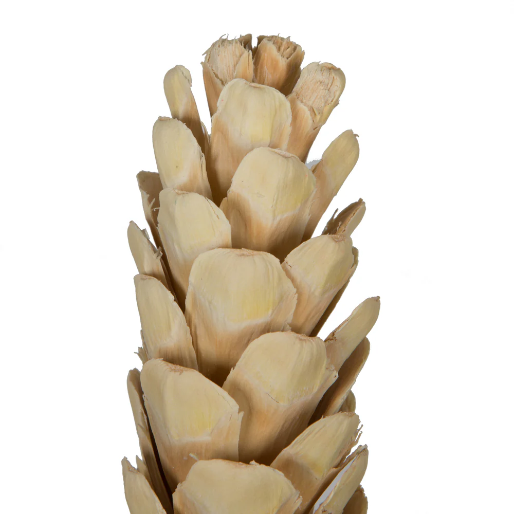 Vickerman Natural Botanicals 3.14