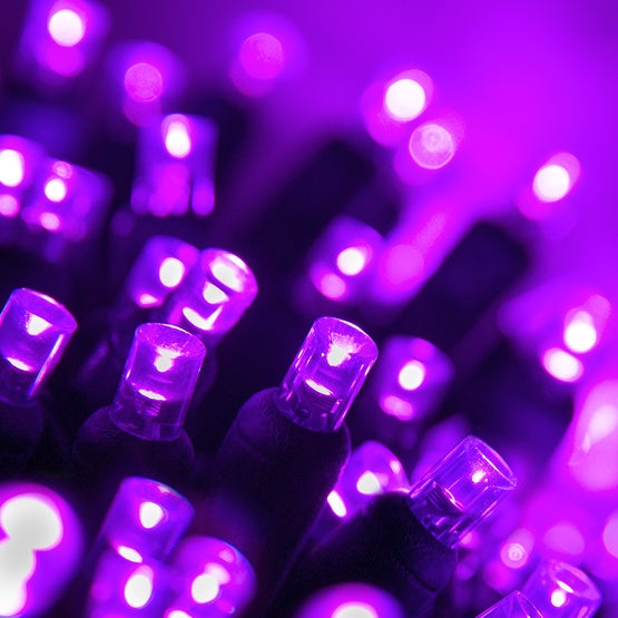 50 Light LED Conical (5MM) Light Set Purple Bulbs on Green Wire, Approx. 17'4