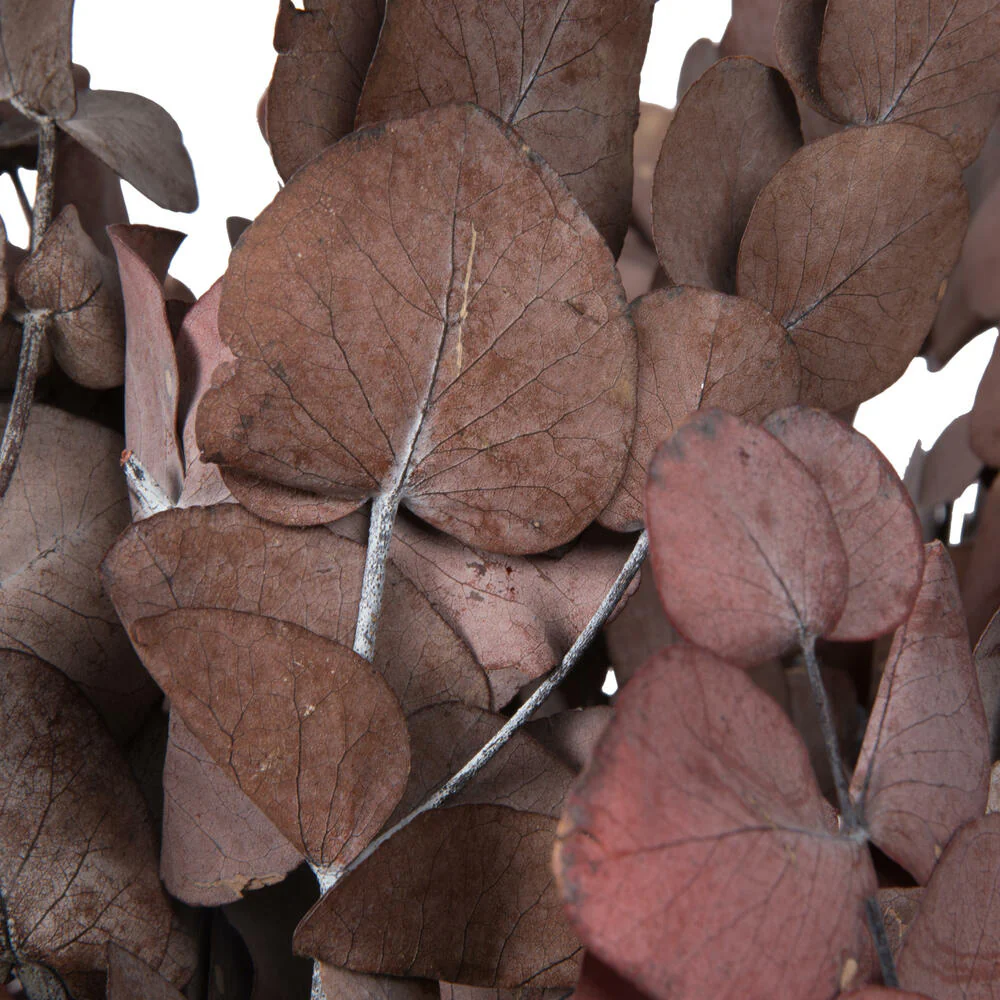 Vickerman Natural Botanicals 18-20