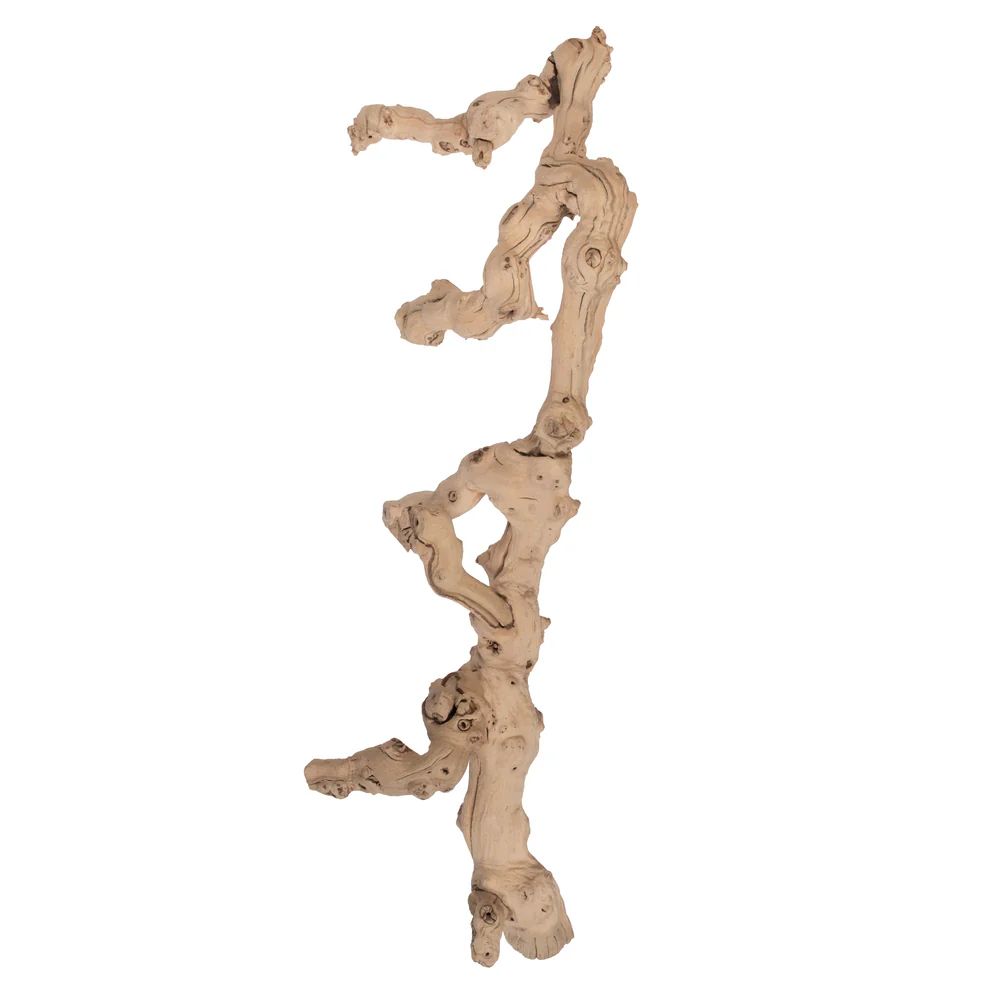 Vickerman Grapewood Sand Blasted Branch 24