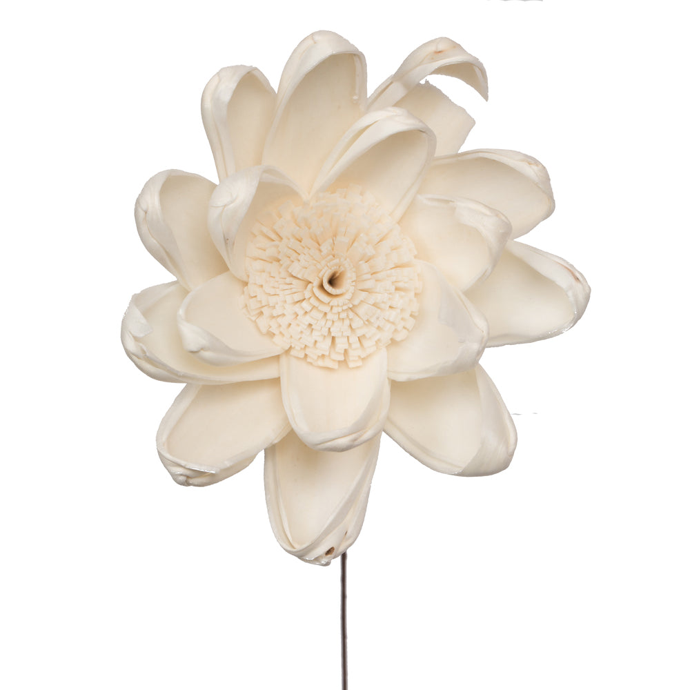 Vickerman Natural Botanicals 4