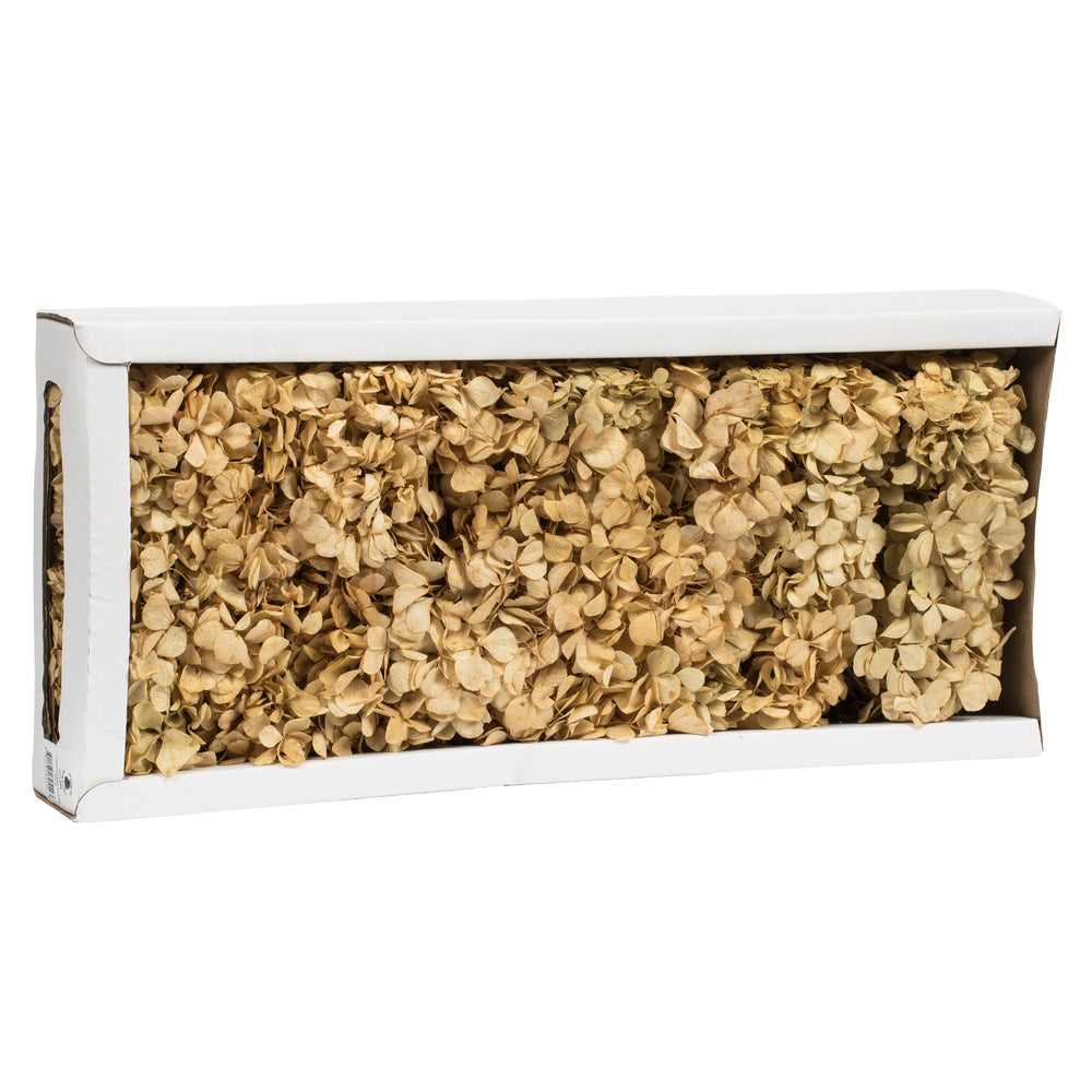 Vickerman 10 x 3 x 21